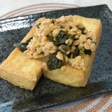 簡単おつまみ＊パリパリ厚揚げの高菜納豆のせ